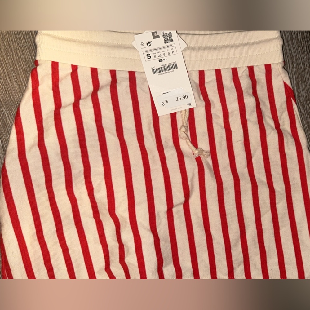 Zara Striped Skirt